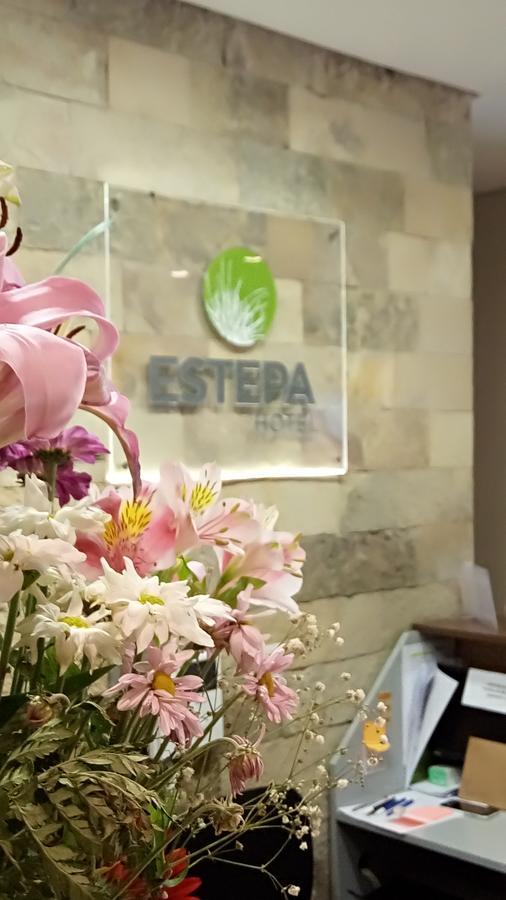 Estepa Hotel Хенераль-Рока Екстер'єр фото